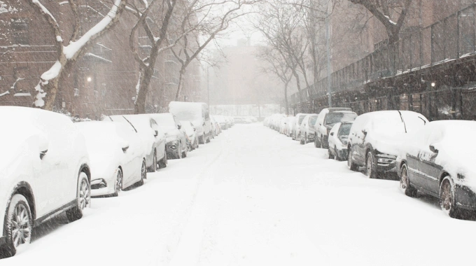 Automobilis apgadintas nuo ledo ar šakos – kas atsakingas?